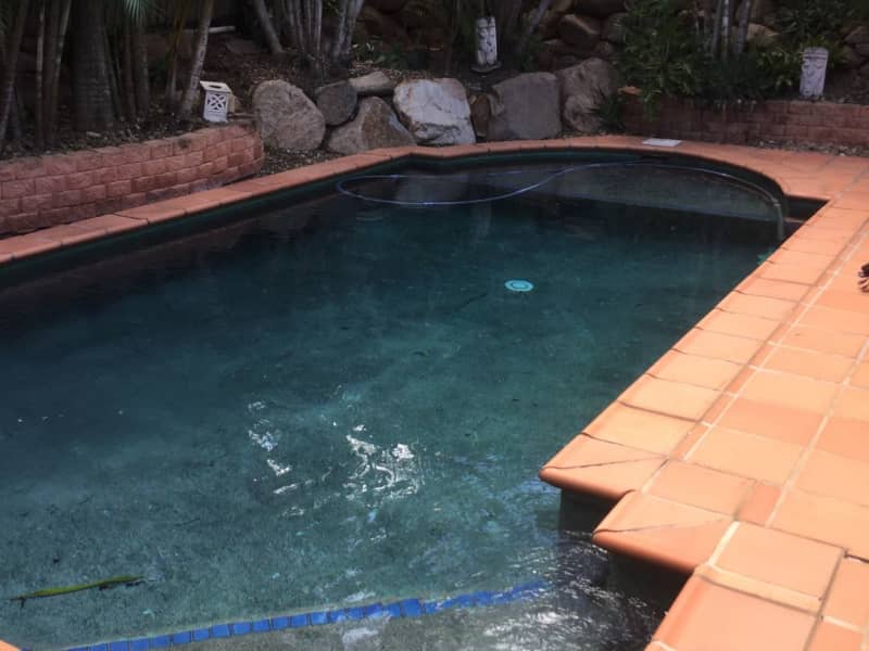 Housesitting assignment in Kuraby, Queensland, Australia