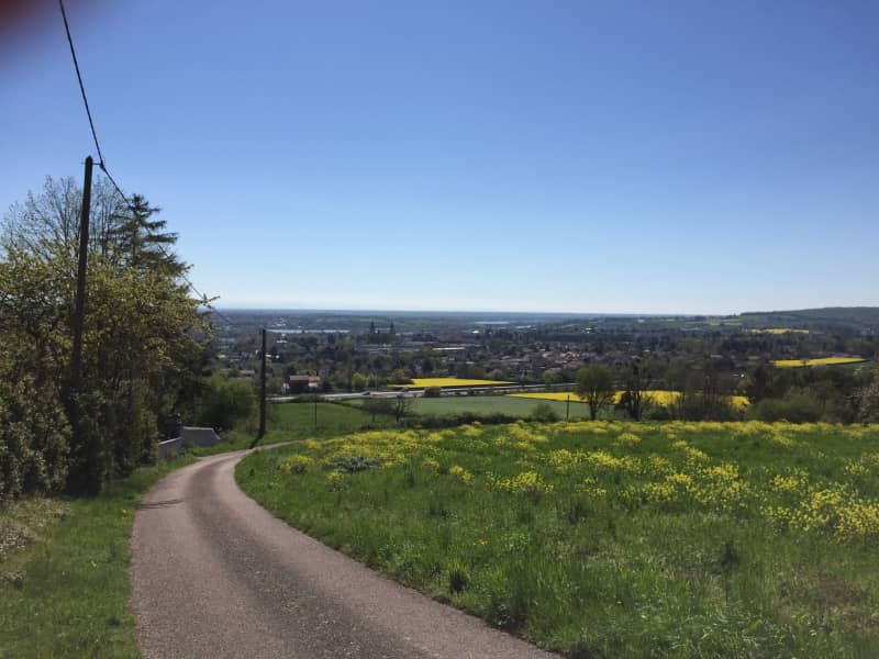 Housesitting assignment in Tournus, France