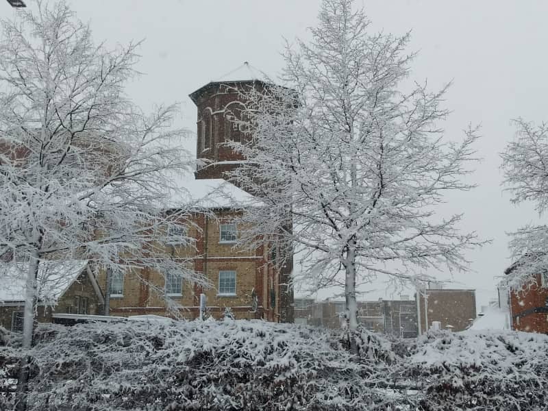 Housesitting assignment in Braintree, United Kingdom