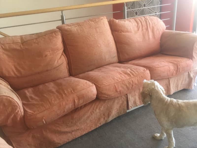 Housesitting assignment in Fremantle, Western Australia, Australia