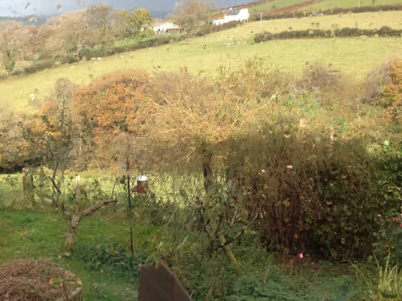 Housesitting assignment in Haverfordwest, United Kingdom