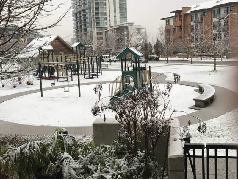Housesitting assignment in New Westminster, British Columbia, Canada