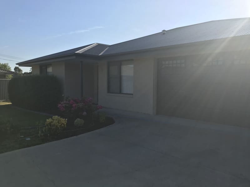 Housesitting assignment in Armidale, New South Wales, Australia