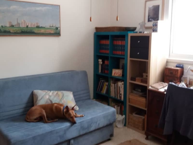 Housesitting assignment in Herzliyya, Israel