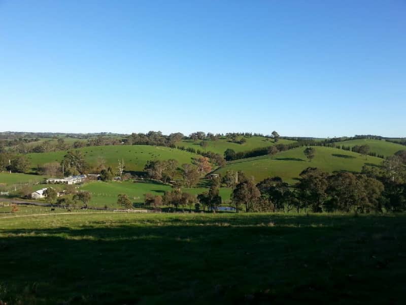 Housesitting assignment in Arthurs Creek, Victoria, Australia