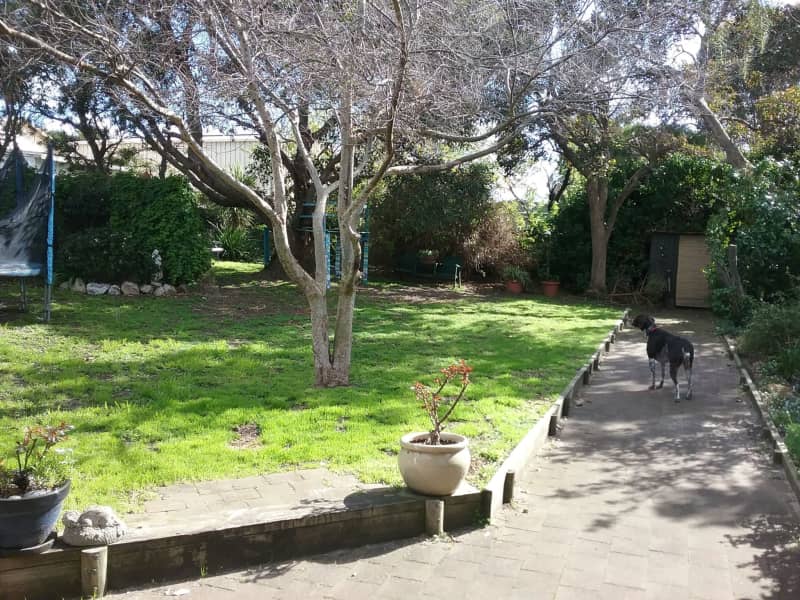 Housesitting assignment in Adelaide, South Australia, Australia