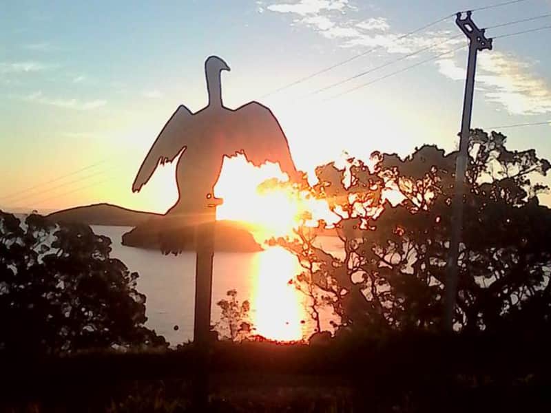 Housesitting assignment in Coromandel, New Zealand