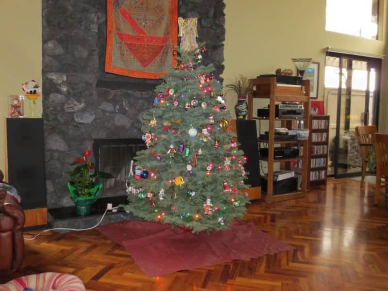 Housesitting assignment in Irvine, California, United States