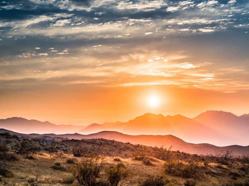 Housesitting assignment in Ridgecrest, California, United States