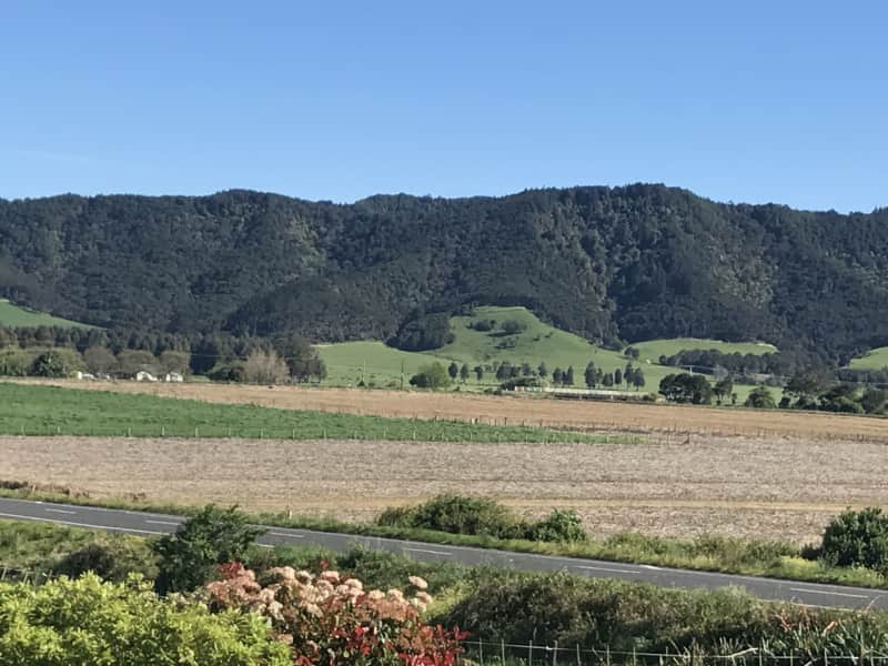 Housesitting assignment in Pokeno, New Zealand