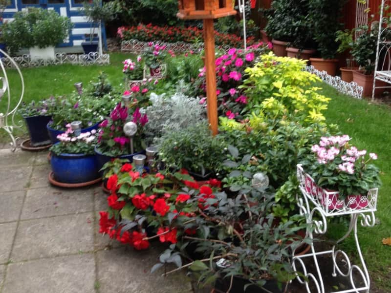 Housesitting assignment in Cardiff, United Kingdom
