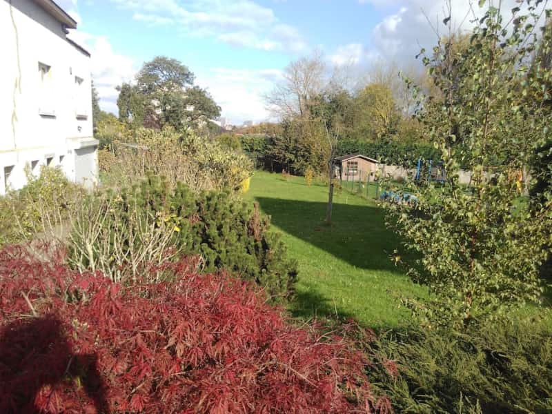 Housesitting assignment in Brussels, Belgium