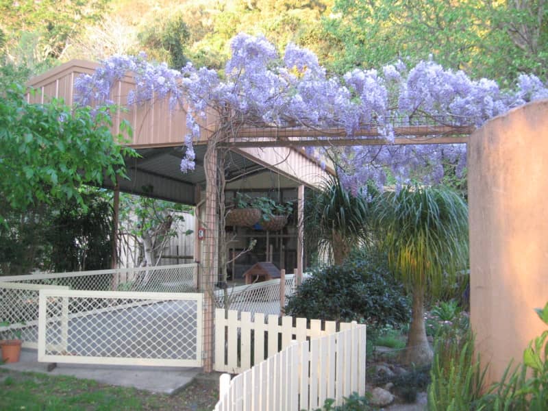 Housesitting assignment in Nowra, New South Wales, Australia