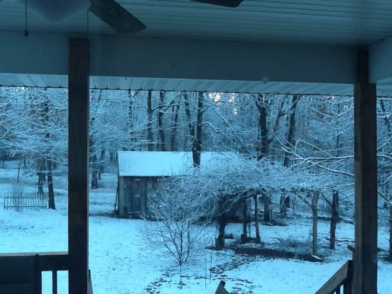 Housesitting assignment in Springfield, Missouri, United States