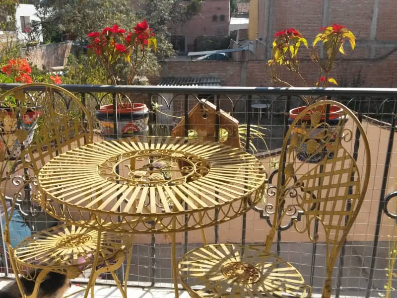 Housesitting assignment in San Miguel de Allende, Mexico