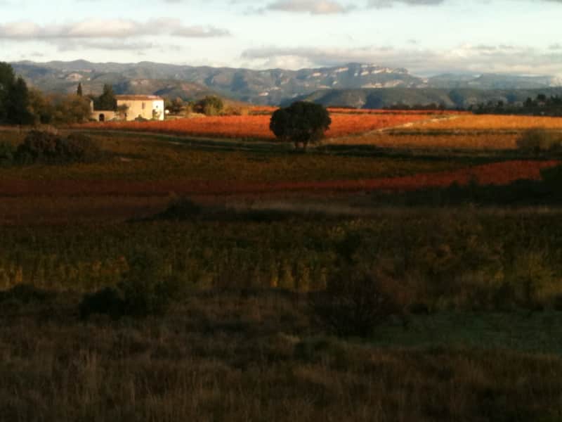 Housesitting assignment in Montpellier, France