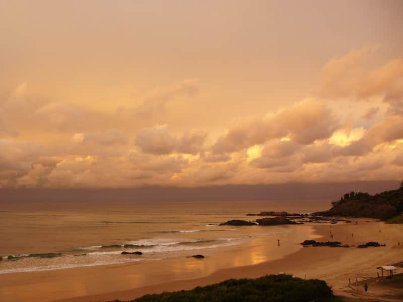 Housesitting assignment in Port Macquarie, New South Wales, Australia