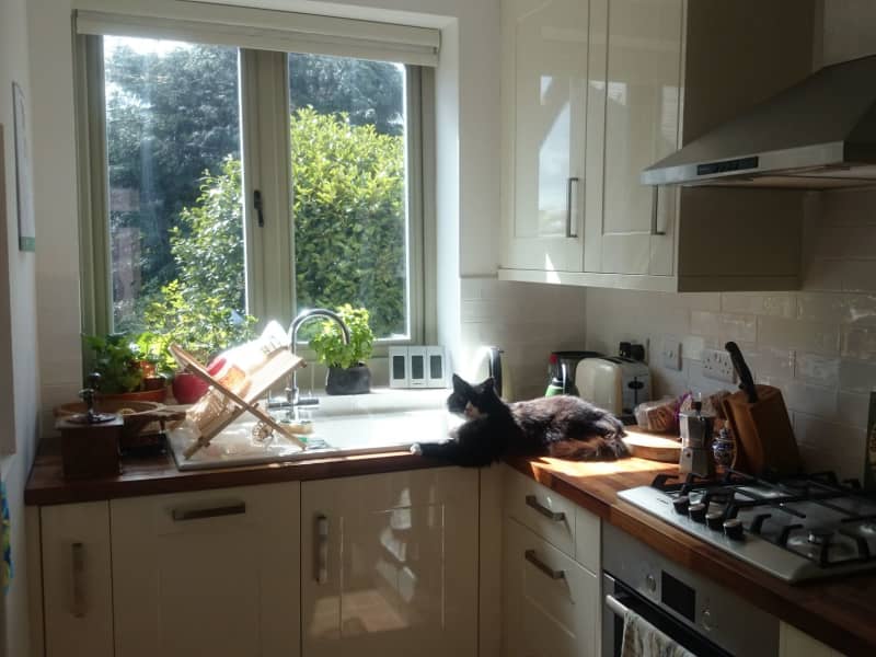 Housesitting assignment in Sheffield, United Kingdom