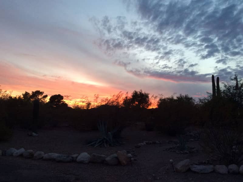 Housesitting assignment in Tucson, Arizona, United States
