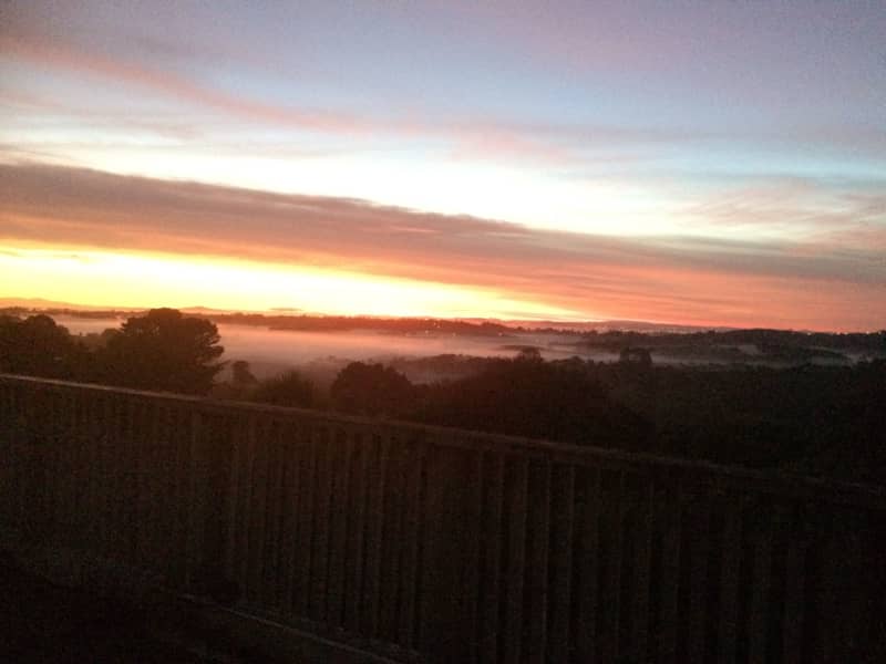 Housesitting assignment in Waitakere, New Zealand
