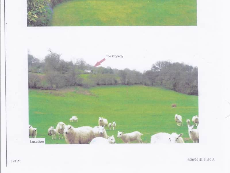 Housesitting assignment in Newtown, United Kingdom