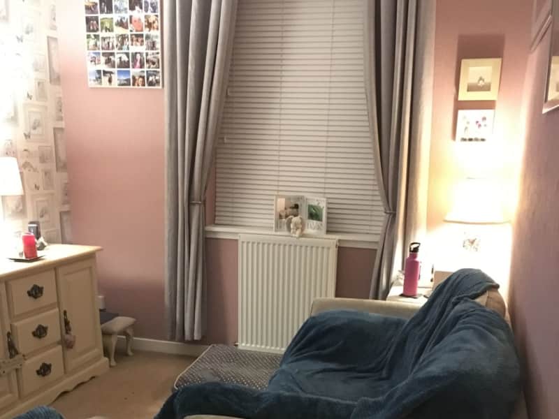 Housesitting assignment in Arbroath, United Kingdom