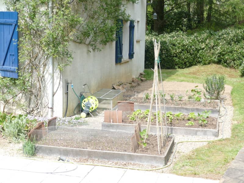 Housesitting assignment in Saint-Yrieix-la-Perche, France