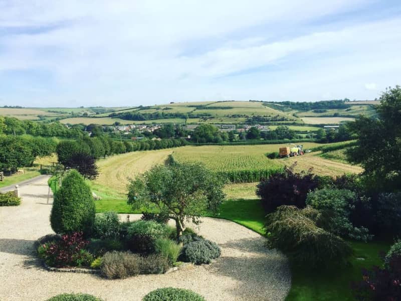 Housesitting assignment in Dorchester, United Kingdom