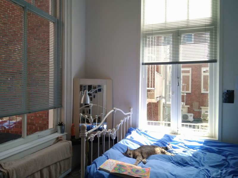 Housesitting assignment in Groningen, Netherlands