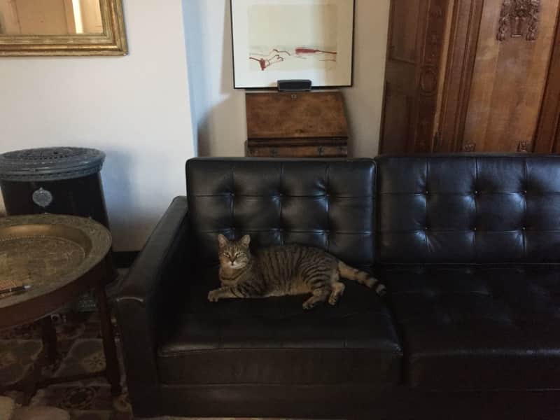 Housesitting assignment in Uzès, France