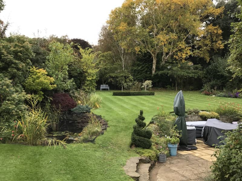 Housesitting assignment in Haslemere, United Kingdom