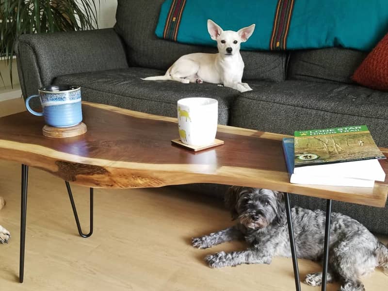 Housesitting assignment in Austin, Texas, United States