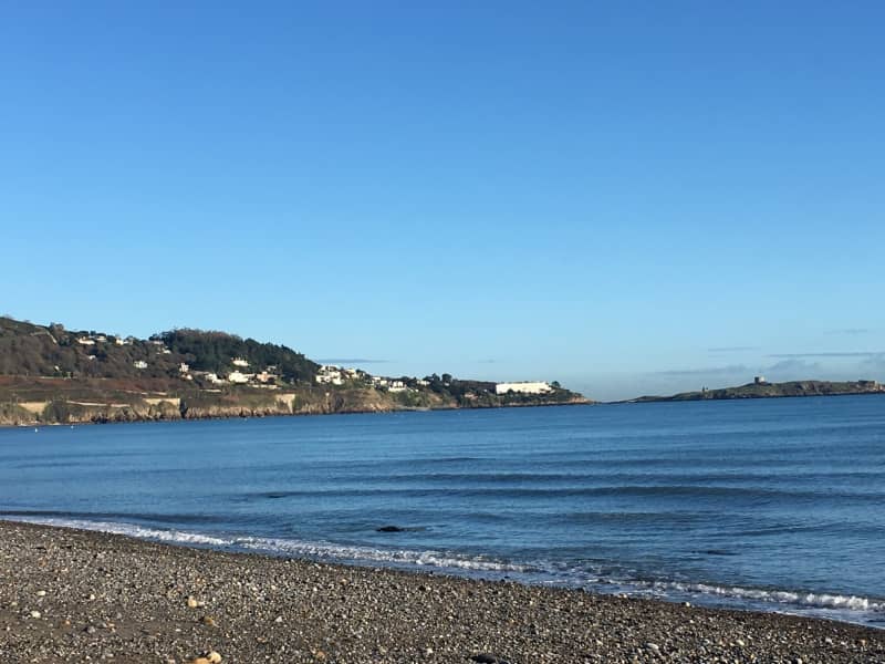 Housesitting assignment in Dublin, Ireland