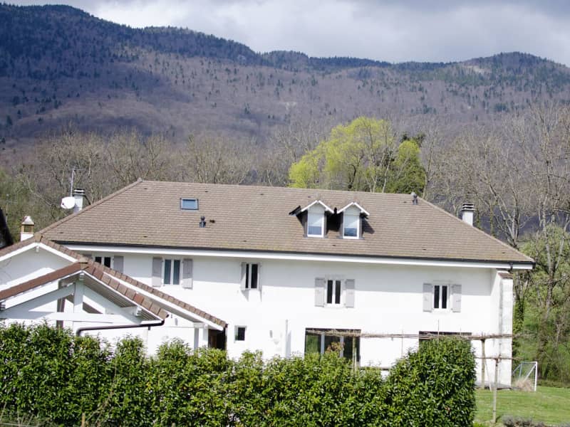 Housesitting assignment in Divonne-les-Bains, France