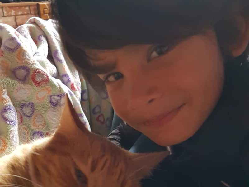 Housesitting assignment in East Cowes, United Kingdom