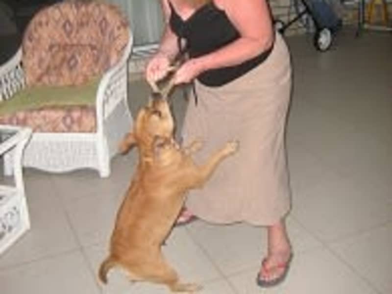 Kaye & Vic from Darlington, United Kingdom