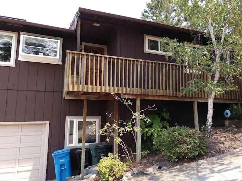 Housesitting assignment in San Carlos, California, United States