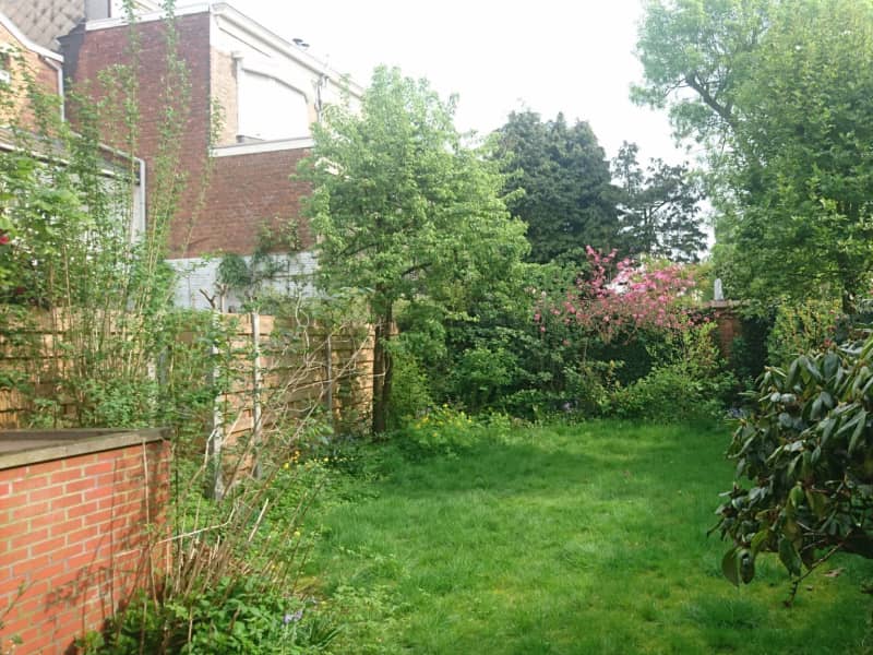 Housesitting assignment in Antwerpen, Belgium