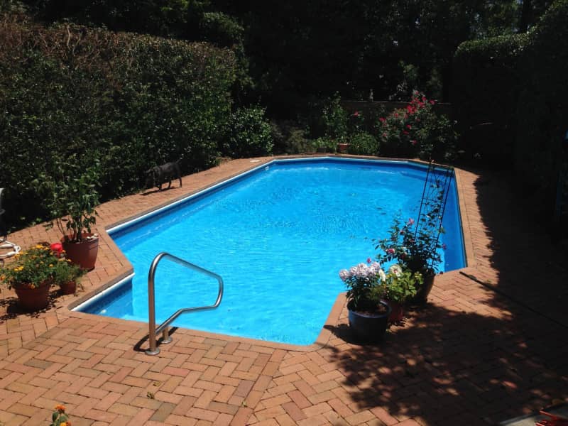 Housesitting assignment in Charlotte, North Carolina, United States