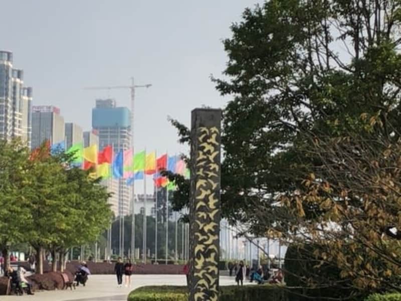 Housesitting assignment in Yichang, China