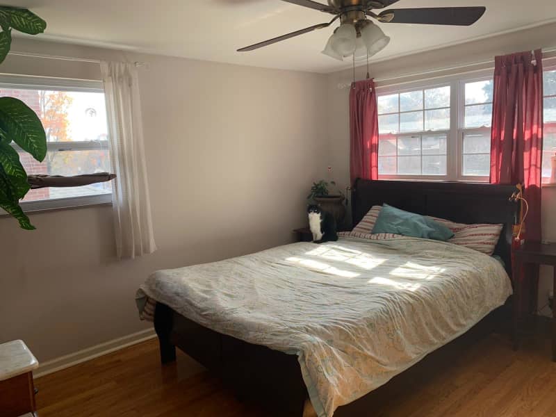 Housesitting assignment in St. Louis, Missouri, United States