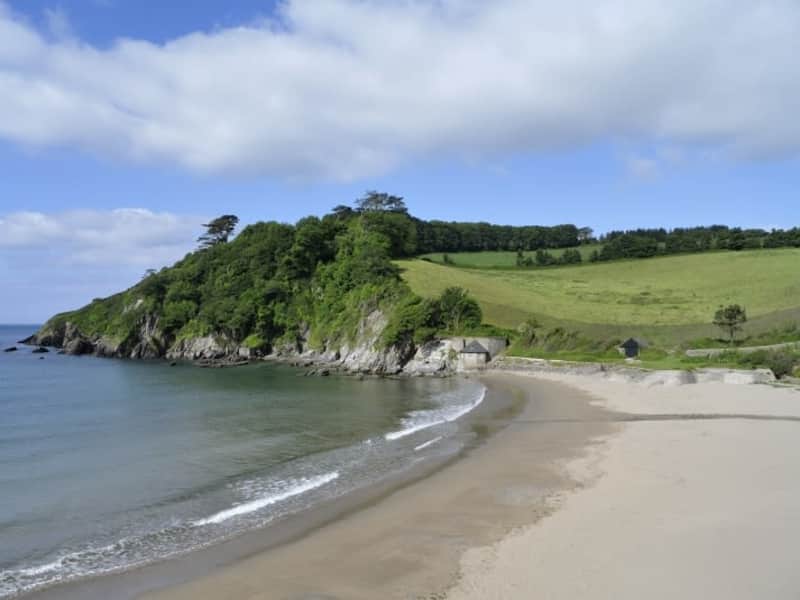Housesitting assignment in Yealmpton, United Kingdom