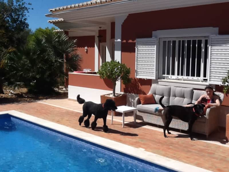 Housesitting assignment in São Brás de Alportel, Portugal