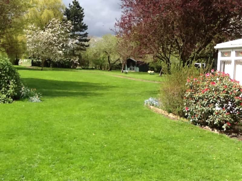 Housesitting assignment in Norwich, United Kingdom
