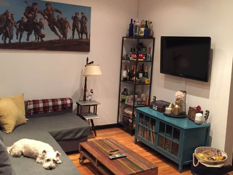 Housesitting assignment in Brooklyn, New York, United States
