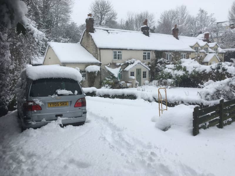 Housesitting assignment in Bath, United Kingdom