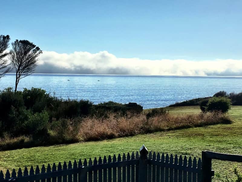 Housesitting assignment in Weymouth, Tasmania, Australia