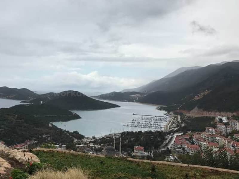 Housesitting assignment in Kaş, Turkey