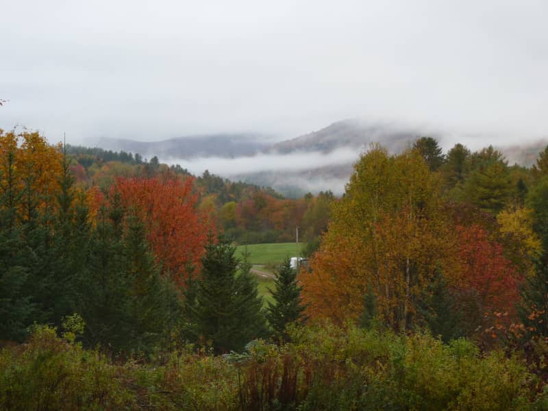 Housesitting assignment in Hardwick, Vermont, United States