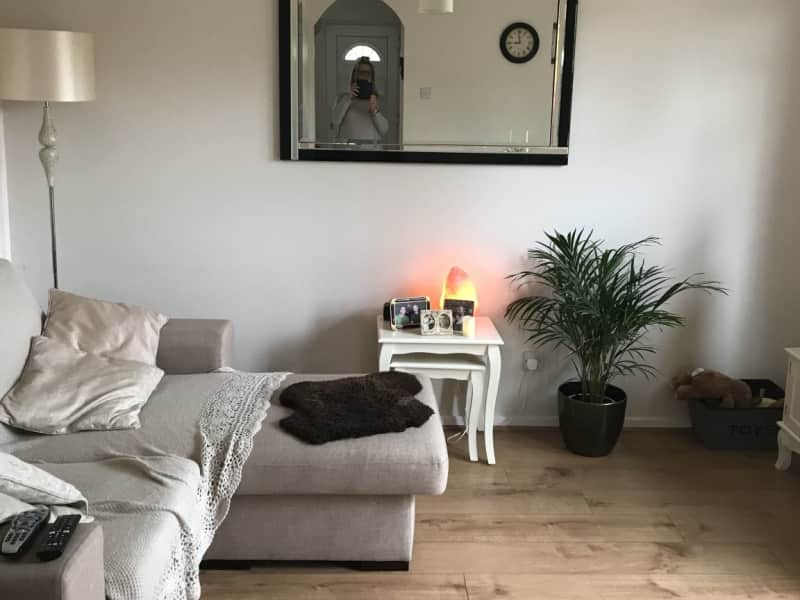 Housesitting assignment in Bourne End, United Kingdom
